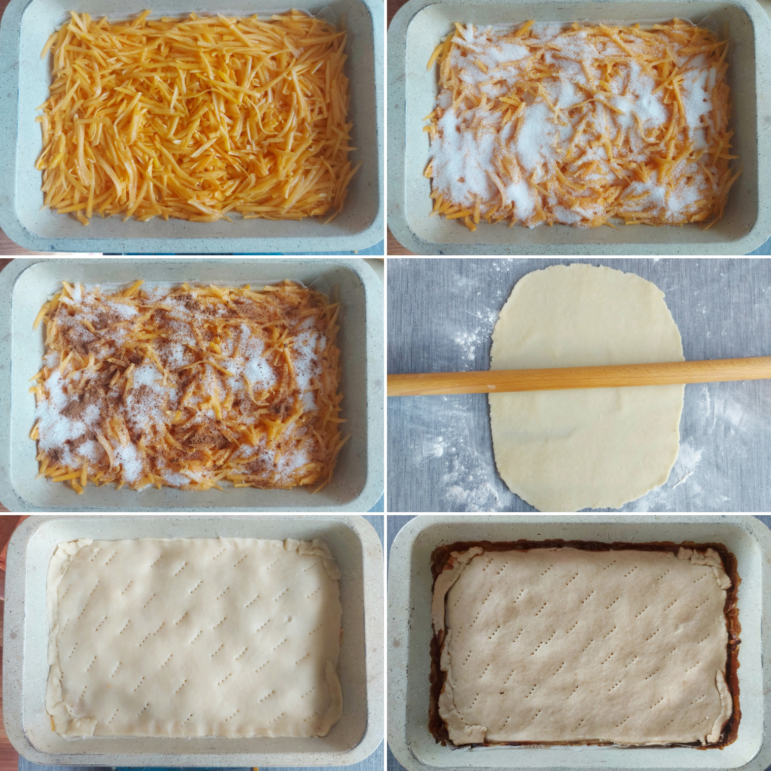 Bundevara-gibenjica-7