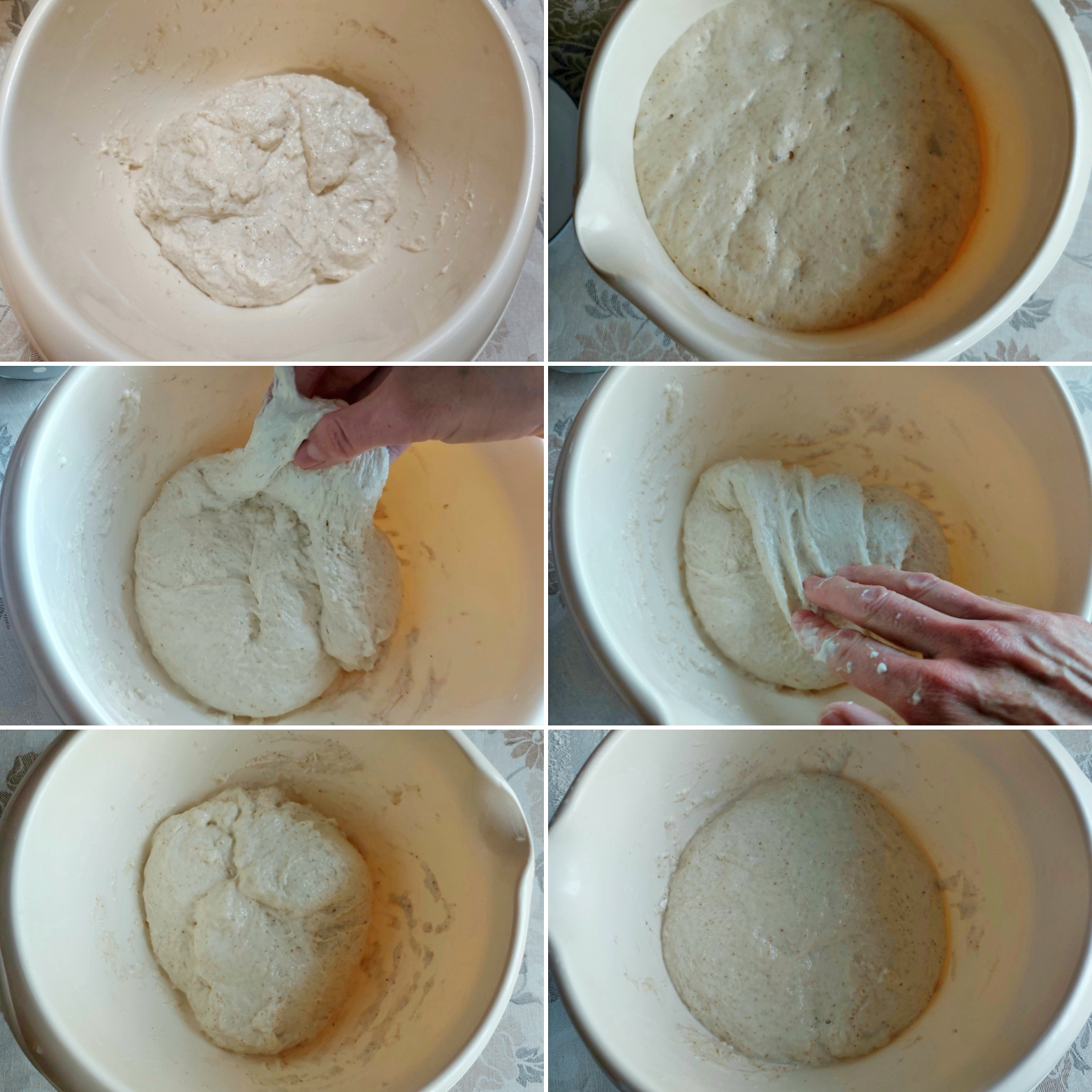 Testo-za-pizzu-sa-divljim-kvascem-6